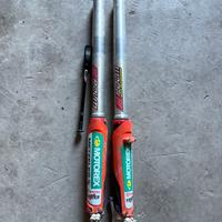 Forcelle WP aer preparate