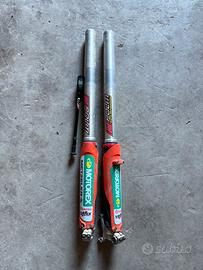 Forcelle WP aer preparate