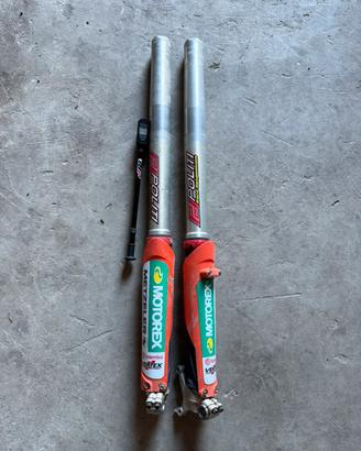 Forcelle WP aer preparate