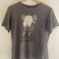 Uniqlo feat kaws