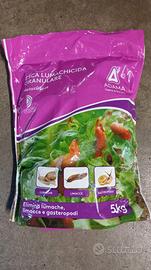 Esca Lumachicida Granulare 5 kg