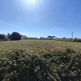 Terreno Residenziale Taurisano