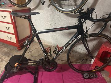 Willer triestina mortirolo