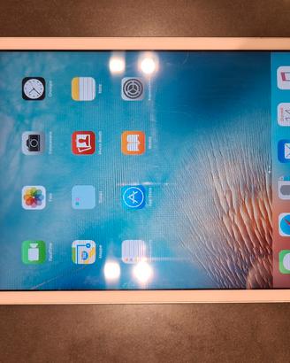 Ipad mini 1 - Vintage - Con dedica