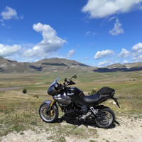 Triumph Tiger 1050 SE ABS
