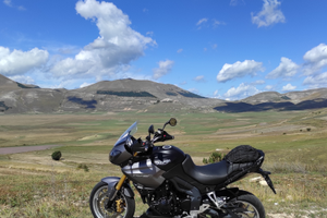 Triumph Tiger 1050 SE ABS