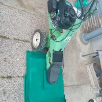 DISTRUGGI ERBA TRINCIA 