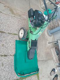 DISTRUGGI ERBA TRINCIA 