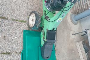 DISTRUGGI ERBA TRINCIA 