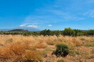Ampio terreno contrada Tre Fontane