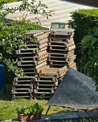 bancali legno
