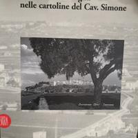 C. Gelao La Puglia nelle Cartoline del Cav. Simone