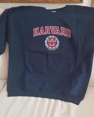 Felpa autentica Harvard blu dagli USA