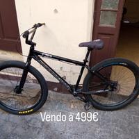 bici MTB collective  c2