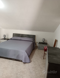 Appartamento bilocale