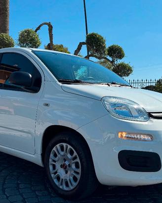 Fiat Panda 1.3 mjt 16v Easy s&s 95cv