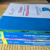 Colori della Matematica Sasso