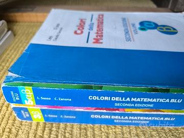 Colori della Matematica Sasso