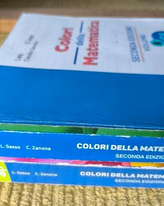 Colori della Matematica Sasso