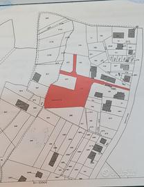 Terreno edificabile