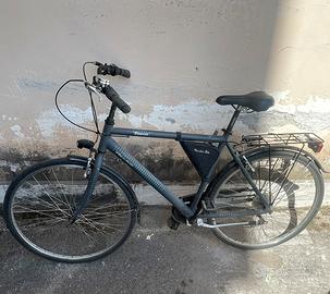 Bicicletta Regina Venezia