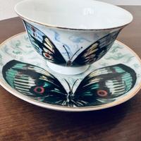 Antico tazzina Rosenthal. ( farfalle).