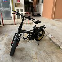Bicicletta elettrica