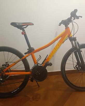 Mountain Bike Ragazzo Giant XtC Jr 24" Disc