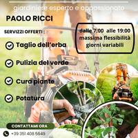 Giardiniere, esperto-taglio siepi e erba