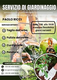 Giardiniere, esperto-taglio siepi e erba