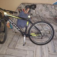 colore giallo e nero 