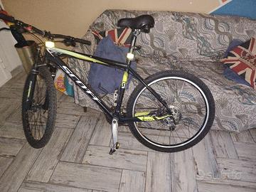 colore giallo e nero 