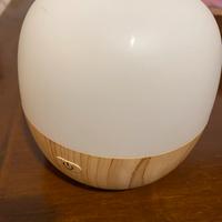 Diffusore oli essenziali