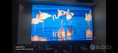 HISENSE 75" 75U72Q Pro TV 4K GAMING 165Hz HDMI 2.1