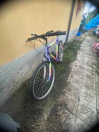 Mountainbike 12 marce