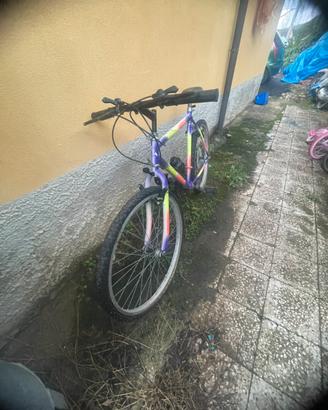 Mountainbike 12 marce