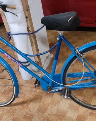 biciclette vintage varie e mountain bike 