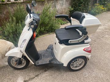 Scooter elettrico 3 ruote