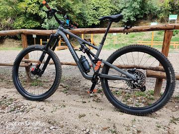 Stumpjumper alloy evo