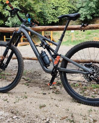 Stumpjumper alloy evo