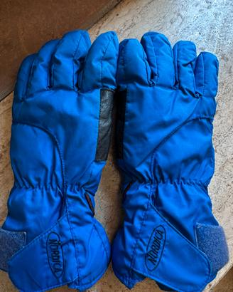 Guanti da Sci Nordica Blu Imbottiti Vintage