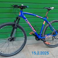 bici MTB Torpado Icaro 29 customizzata