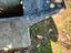 Immagine 3