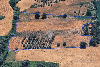 TER. AGRICOLO A ROSETO DEGLI ABRUZZI