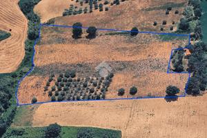 TER. AGRICOLO A ROSETO DEGLI ABRUZZI
