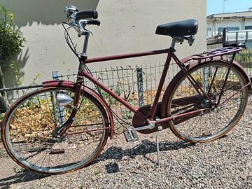 Bicicletta Raleigh Royal Roaster