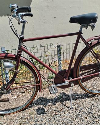 Bicicletta Raleigh Royal Roaster