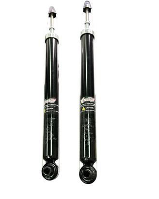 COPPIA AMMORTIZZATORI FIAT Bravo 2° Serie 198A200