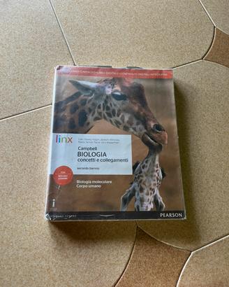 Biologia concetti e collegamenti secondo biennio