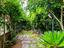 Immagine 25